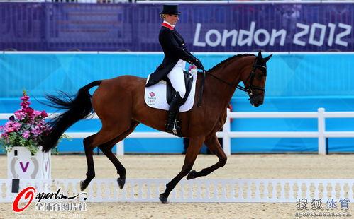 盛装舞步视频,盛装舞步视频中的优雅与力量
